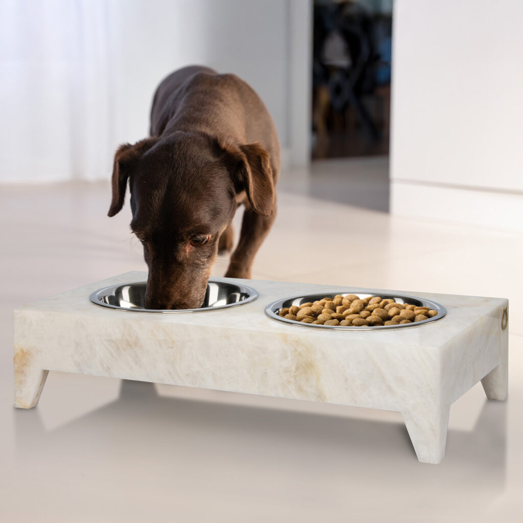 Fotografie und Bildbearbeitung der Produkte von Königsnapf durch unsere Grafik- und Webdesignagentur FDMM Corporate Design AG